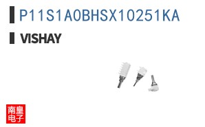 P11S1A0BHSX10251KA