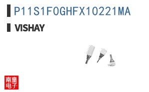 P11S1F0GHFX10221MA