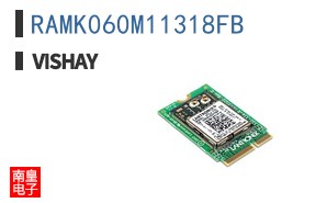 RAMK060M11318FB