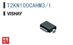T2KN100CAHM3/I